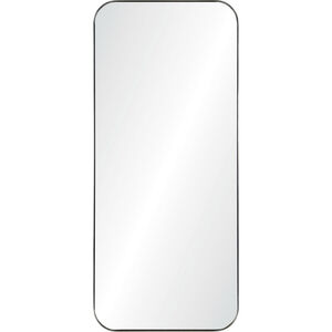 Delphinus 46 X 20 inch Satin NIckel Wall Mirror