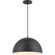Vantage Pendants 1 Light 15.38 inch Coal Hanging Dome Ceiling Light