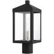 Nyack 1 Light 15.25 inch Black with Brushed Nickel Cluster Outdoor Post Top Lantern