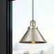 Franklin Restoration Briarcliff 1 Light 10 inch Brushed Satin Nickel Mini Pendant Ceiling Light in Incandescent, Franklin Restoration