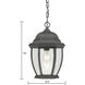 Covington 1 Light 9.5 inch Black Outdoor Pendant