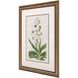 Florals Collection Green Framed Art