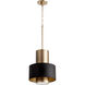 Fort Worth 1 Light 12 inch Noir and Aged Brass Pendant Ceiling Light