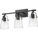 Foster 3 Light 22.75 inch Black Vanity Light Wall Light in Clear