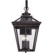 Ellijay Outdoor Wall Lantern in English Bronze