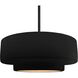 Radiance LED 16.25 inch Matte Black and Carbon Matte Black/Champagne Gold Pendant Ceiling Light