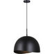 Henlee 1 Light 15.75 inch Black Pendant Ceiling Light