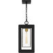 Infinger 1 Light 9 inch Earth Black Outdoor Hanging Lantern, Large