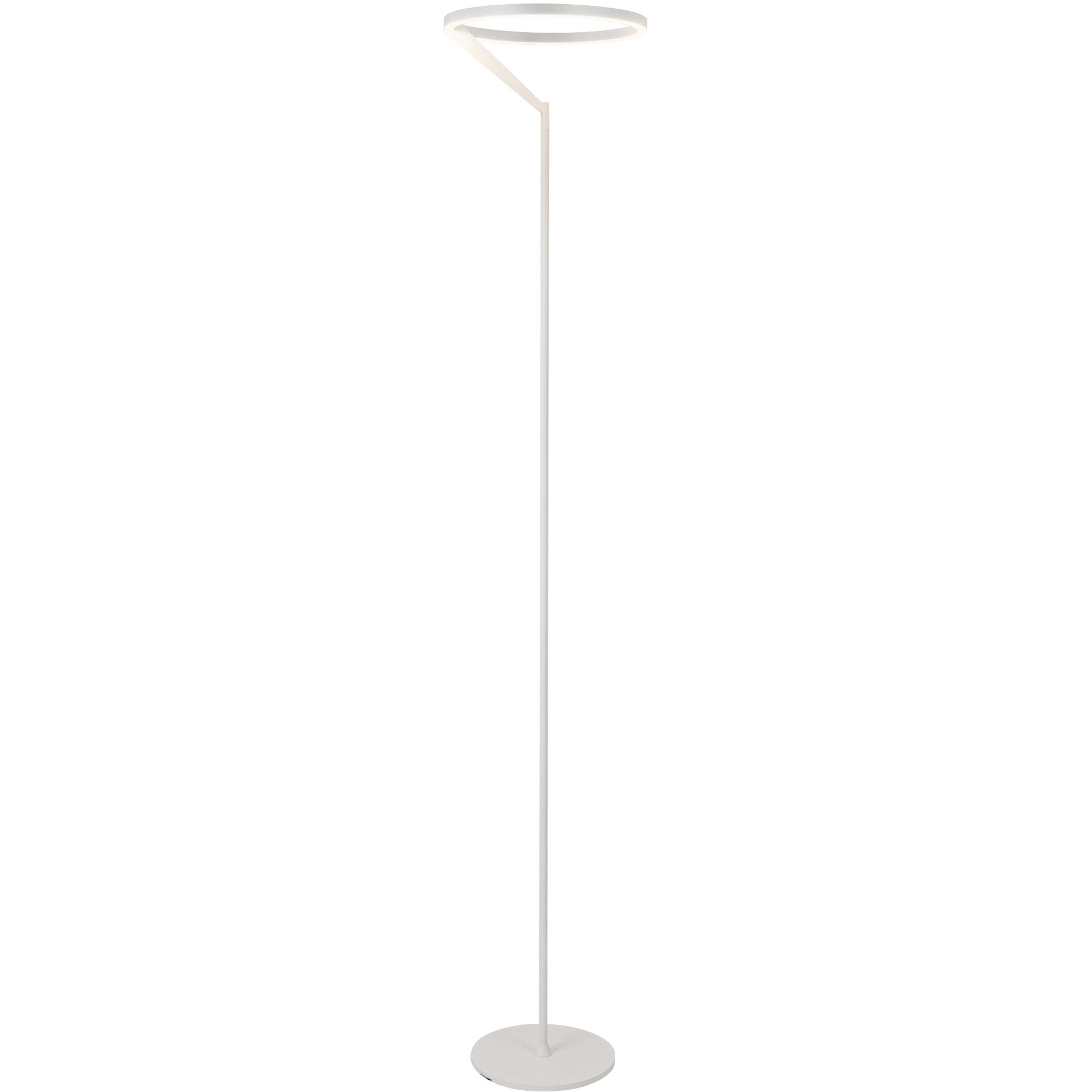 Roda 66.25 inch 25.00 watt White Floor Lamp Portable Light