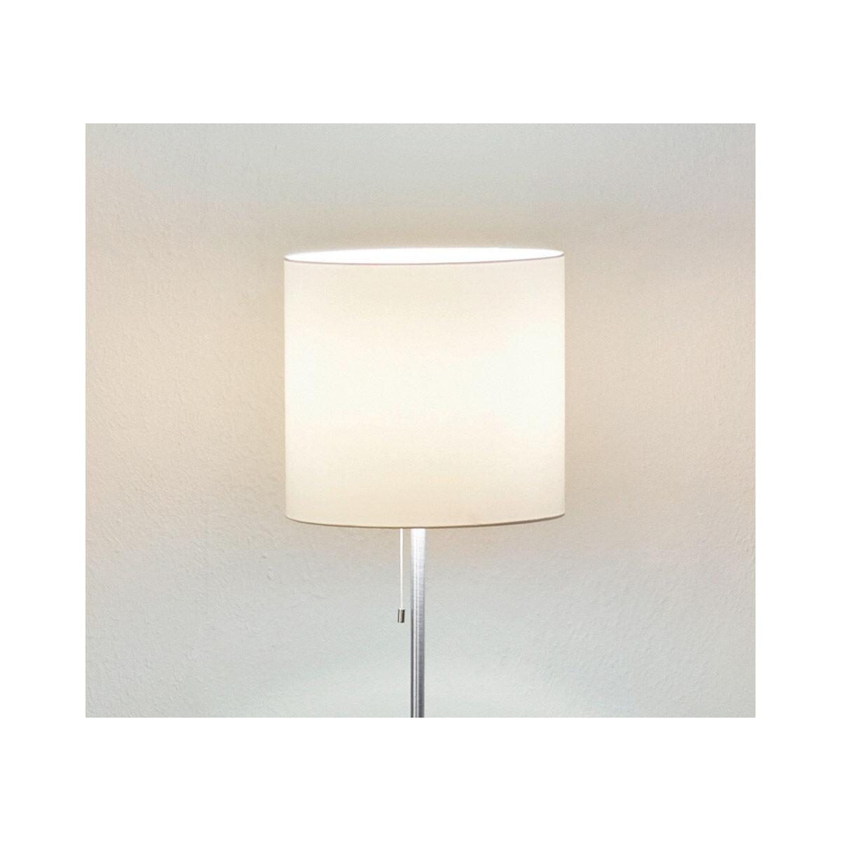 Sendo 60.25 inch 100 watt Aluminum Floor Lamp Portable Light