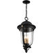 Peale Street 4 Light 12.13 inch Sand Coal And Vermeil Gold Outdoor Hanging Light, The Great Outdoors