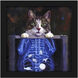 Animals 11 X 11 inch Non-Glass Framed Art