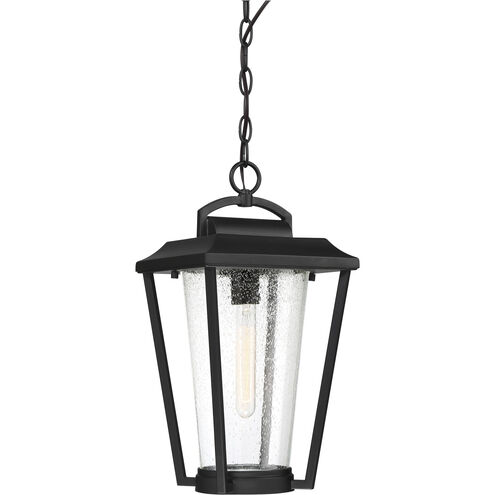 Lakeview 1 Light 9 inch Aged Bronze and Clear Outdoor Hanging Lantern