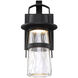 Balthus LED 14 inch Black Outdoor Wall Light in 14in.