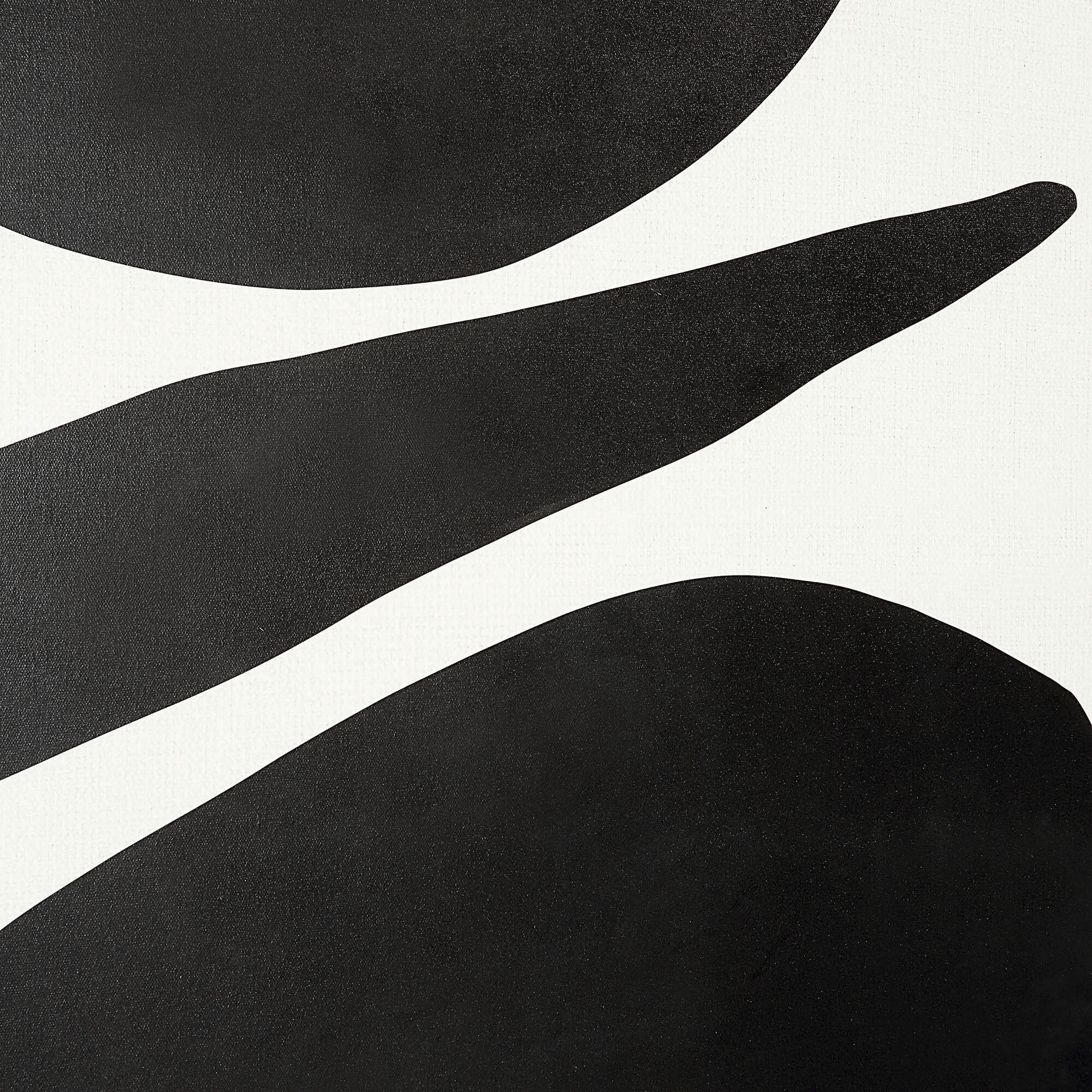 Cercola Black/White Wall Art