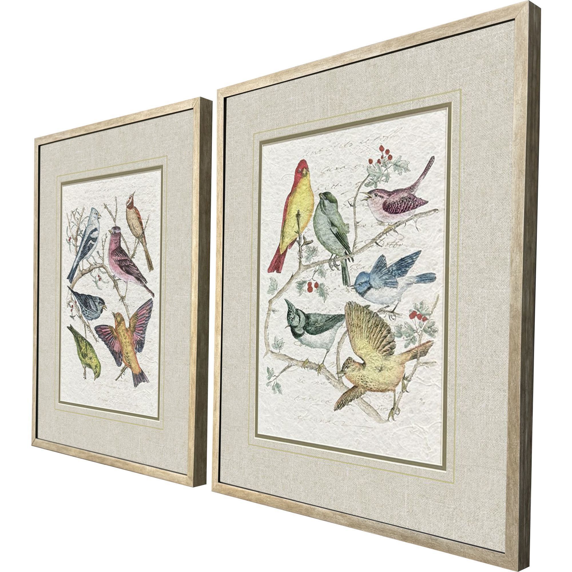 Bird Variety Blue and Green and Pink and Yellow Framed Art