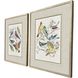 Bird Variety Blue and Green and Pink and Yellow Framed Art