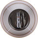 Eden 3 Light 22 inch Brushed Nickel Chandelier Ceiling Light