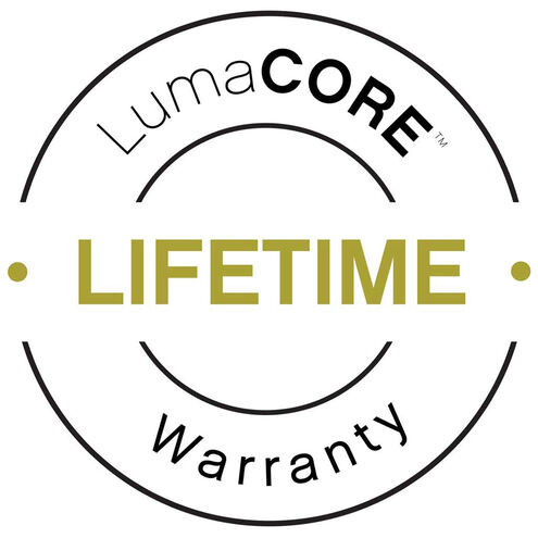 Lumacore 12v 12.00 watt Bronze Landscape Spot Light in 2700K, Variable Output