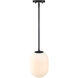 Noor 1 Light 8.50 inch Pendant