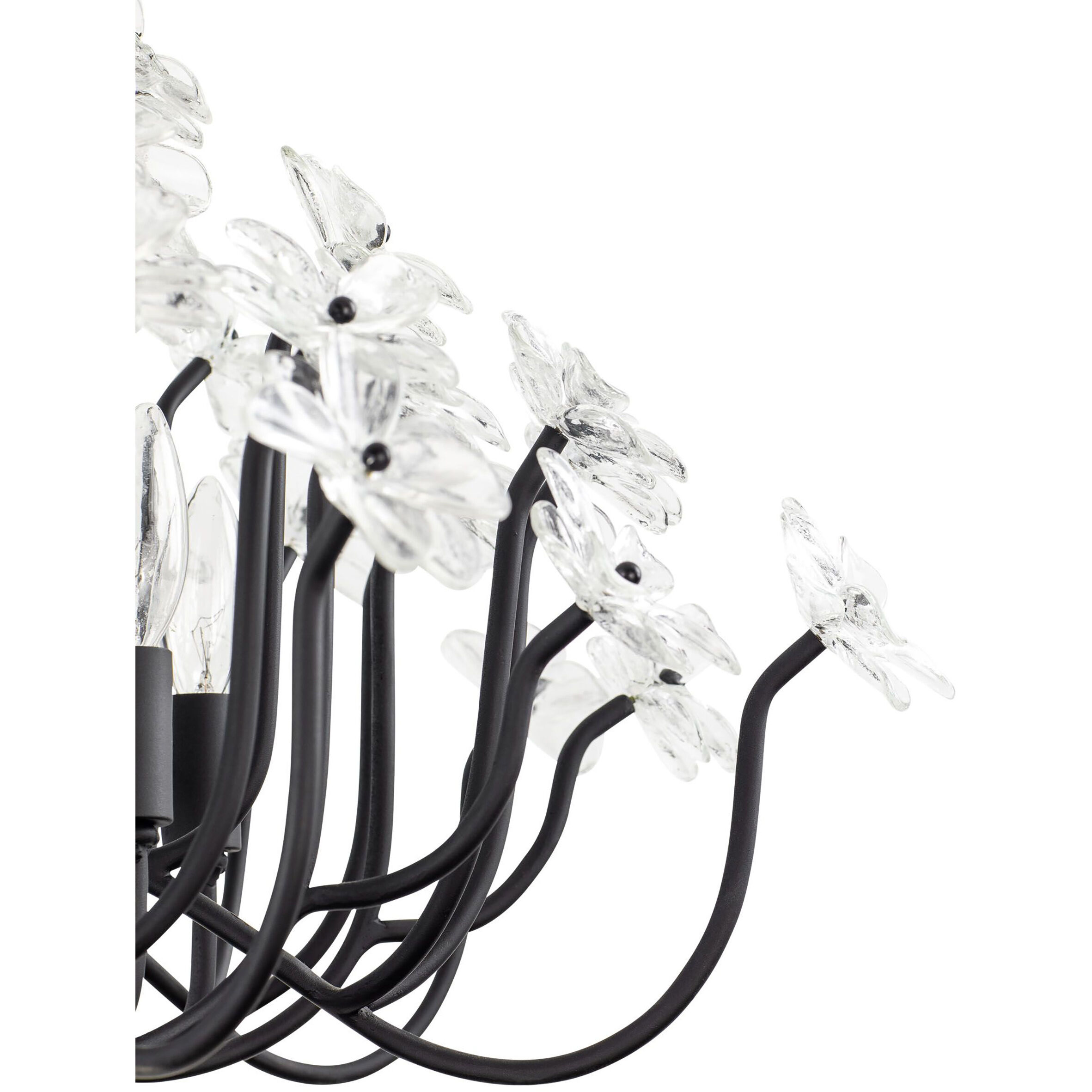 Wildflower 8 Light 32 inch Matte Black Chandelier Ceiling Light, Smithsonian Collaboration