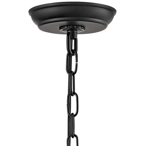 Coastal Elements Atwater LED 10 inch Black Outdoor Hanging Lantern, Medium
