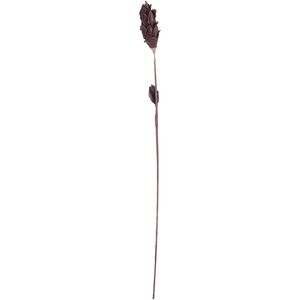 Sceptre Black Ornamental Accessory, Corn Leaf Pole