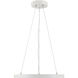 Vantage LED 15 inch White Pendant Ceiling Light, Round