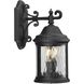 Ashmore 2 Light 15 inch Textured Black Outdoor Wall Lantern