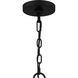 Tansy 4 Light 20 inch Matte Black Pendant Ceiling Light