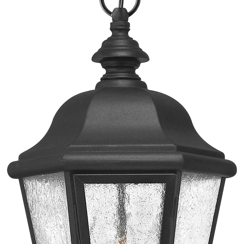 Estate Series Edgewater LED 10 inch Black Outdoor Hanging Lantern