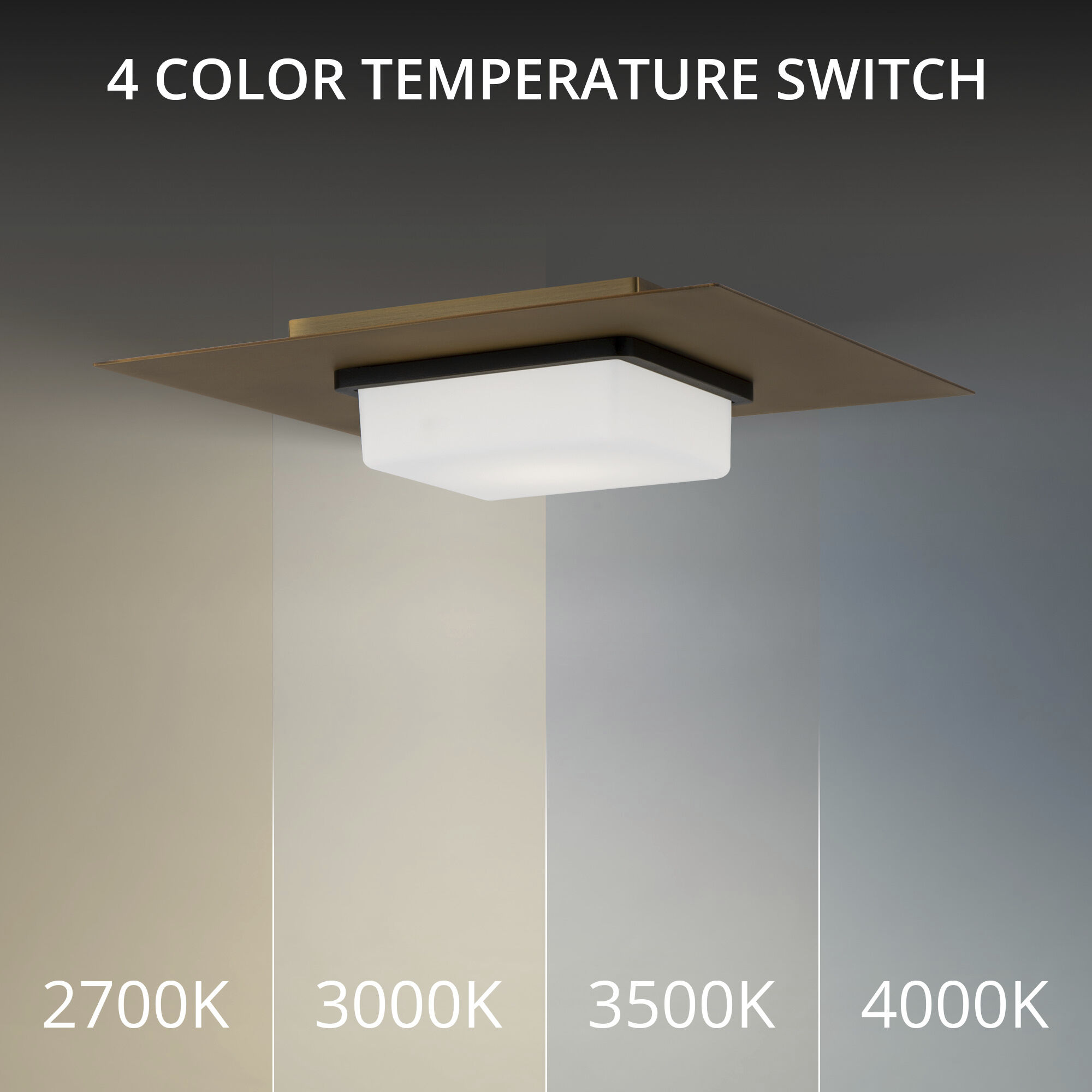 Double Decker LED 14 inch Black Aged Brass Flush Mount Ceiling Light in 3500K, dweLED