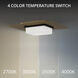 Double Decker LED 14 inch Black Aged Brass Flush Mount Ceiling Light in 2700K, dweLED