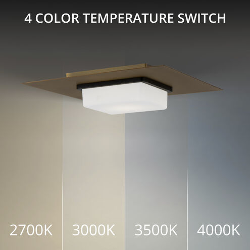 Double Decker LED 14 inch Black Aged Brass Flush Mount Ceiling Light in 2700K, dweLED