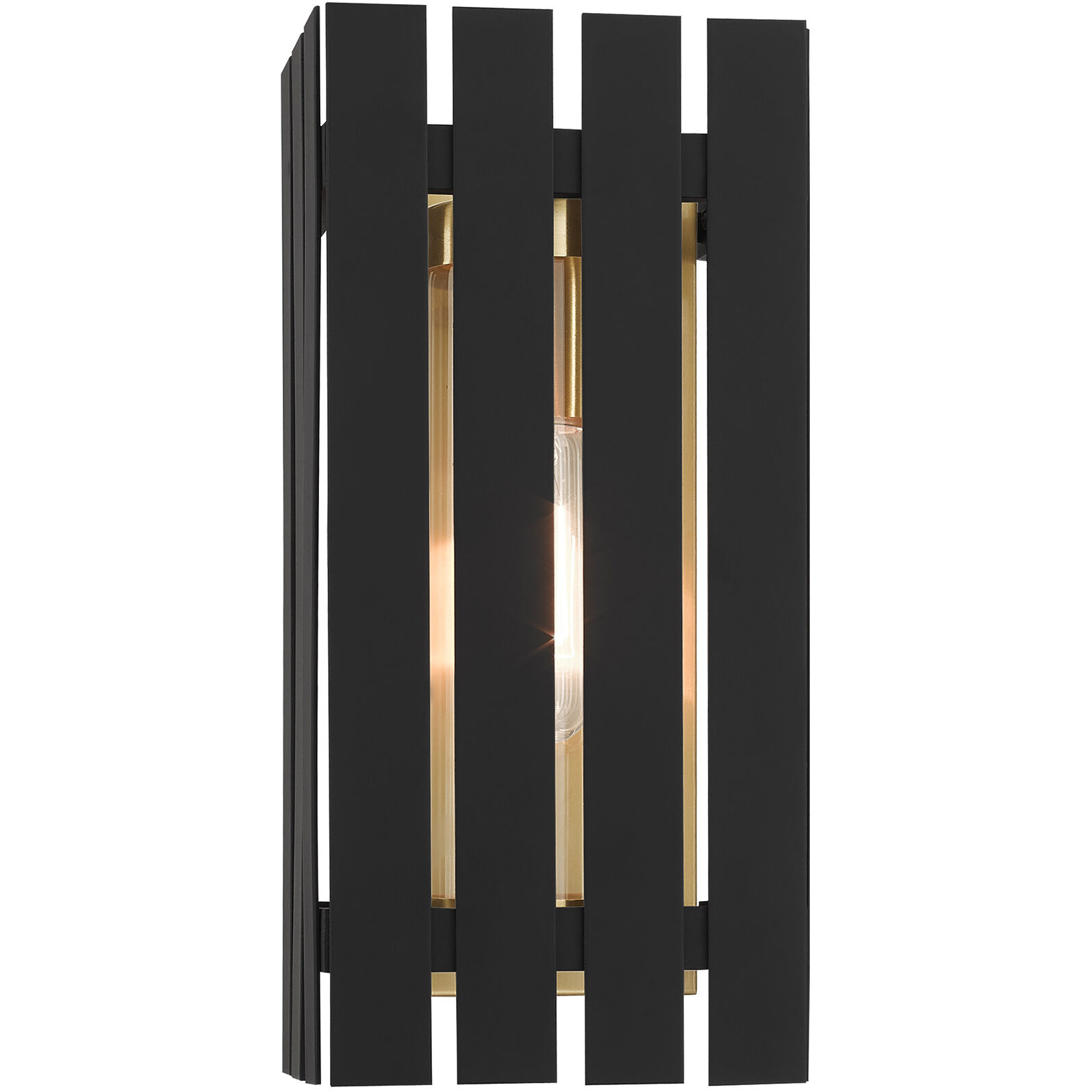 Greenwich 1 Light 10 inch Black with Satin Brass Accents Outdoor Wall Lantern