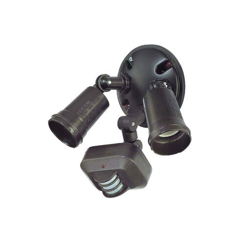Motion-Activated 2 Light 10.00 inch Outdoor Wall Light