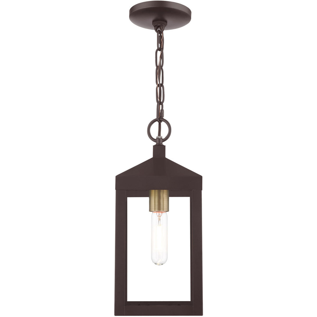 Nyack 1 Light 6.25 inch Bronze with Antique Brass Cluser Outdoor Pendant Lantern
