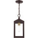 Nyack 1 Light 6.25 inch Bronze with Antique Brass Cluser Outdoor Pendant Lantern