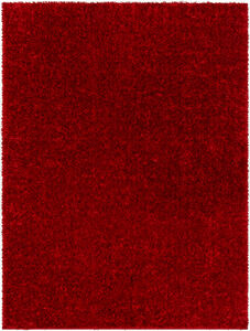 Cloudy Shag 84 X 63 inch Rug, Rectangle