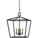 Denison 4 Light 18 inch Mol&eacute; Black Lantern Pendant Ceiling Light, Medium