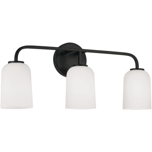 Lawson 3 Light 23.50 inch Bathroom Vanity Light