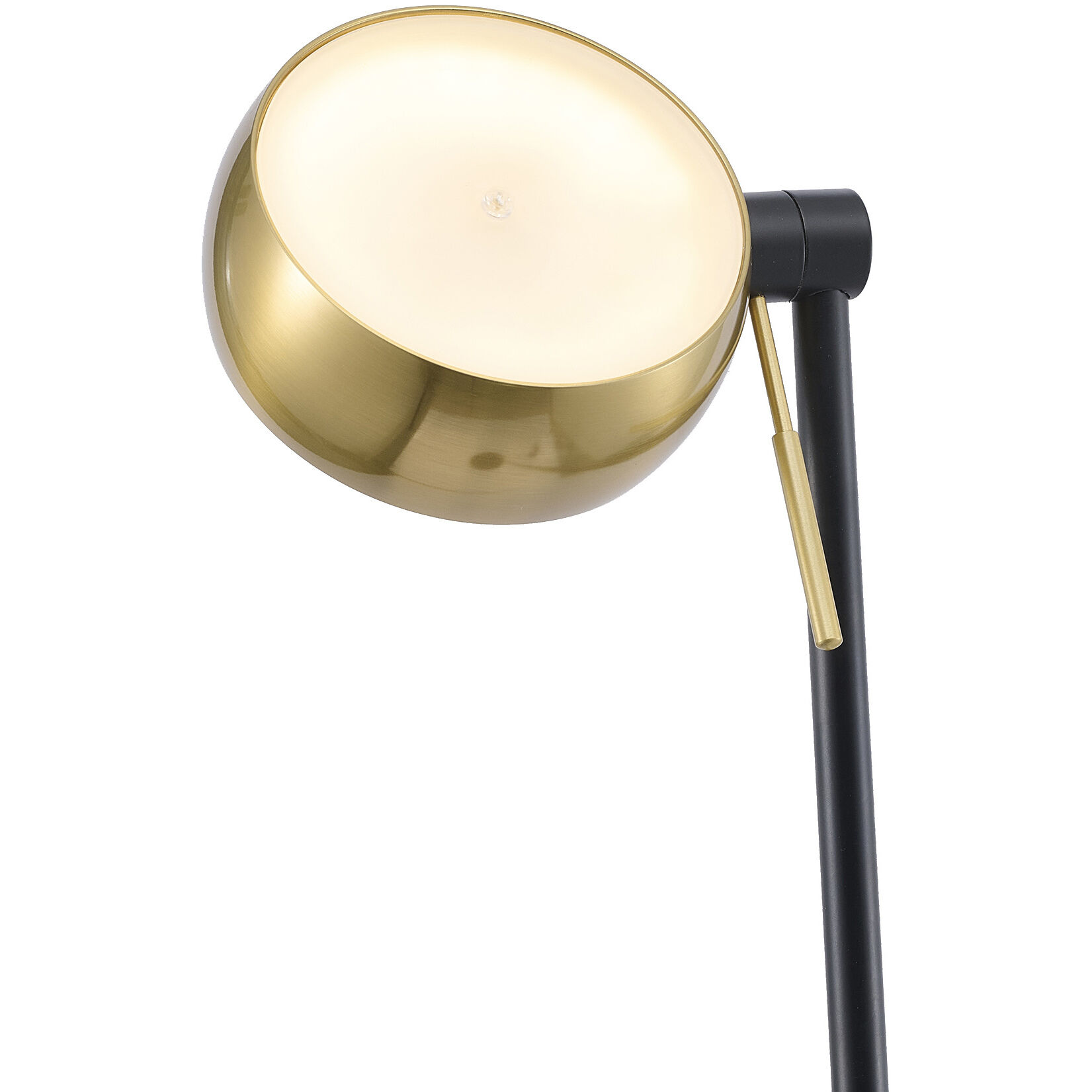 Canada 63 inch 11 watt Black & Stain Brass Floor Lamp Portable Light