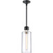 Zigrina 1 Light 5.88 inch Satin Brushed Black with Polished Nickel Pendant Ceiling Light