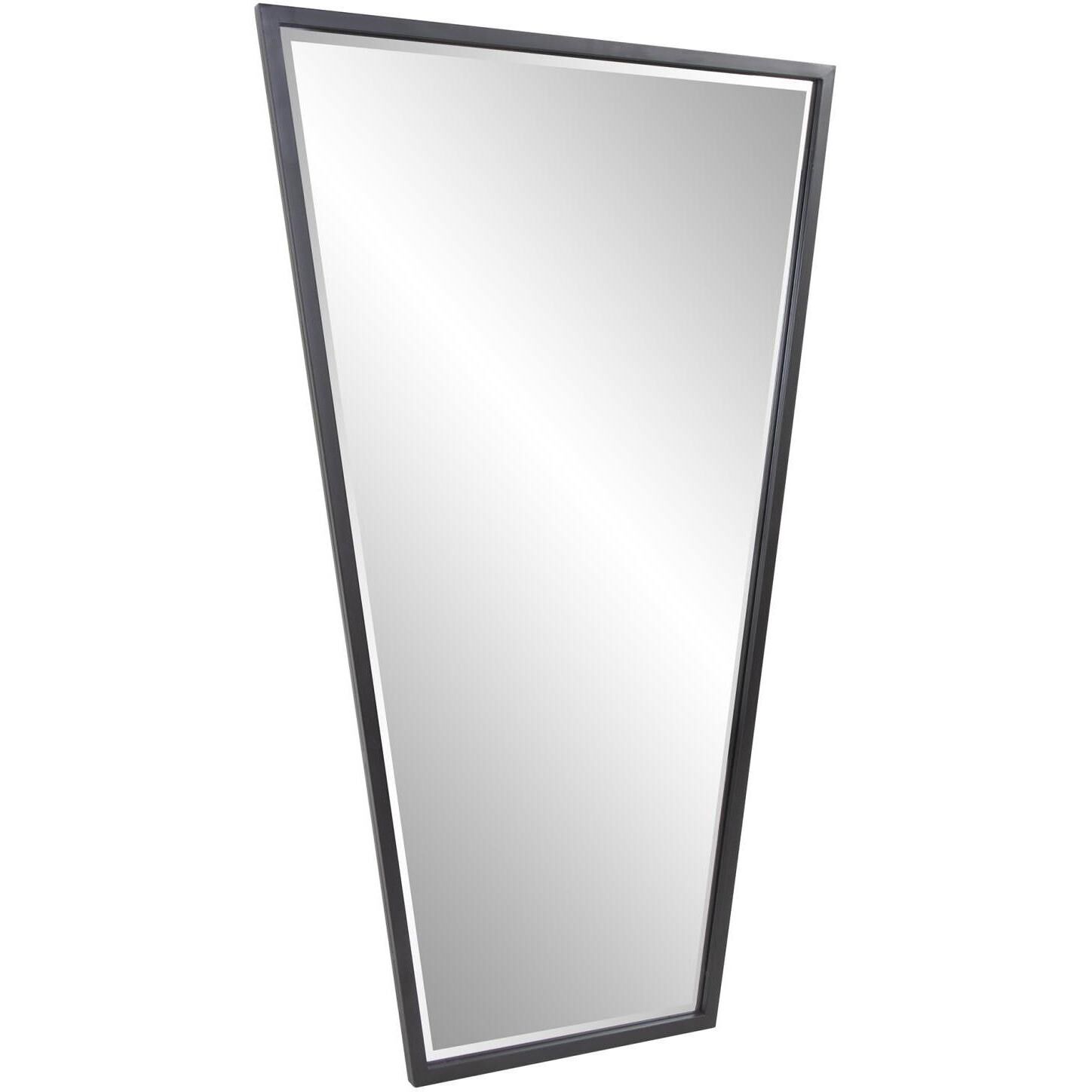 Ezra 47.5 X 30 inch Black Mirror