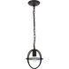Octavia 1 Light 7.9 inch Dark Brown Pendant Ceiling Light in Dark Bronze