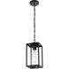 Memphis 1 Light 6 inch Black Outdoor Pendant