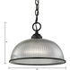 Liberty Park 1 Light 12 inch Oil Rubbed Bronze Pendant Ceiling Light