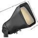 Hardy Island Lumacore 12v 4.00 watt Satin Black Landscape Flood Light