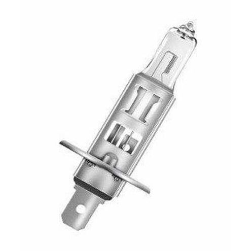 Lumos Halogen 55 watt 12 Light Bulb, Miniature