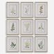 Botanical Flowers 21.38 X 17.38 inch Framed Prints, Set of 9